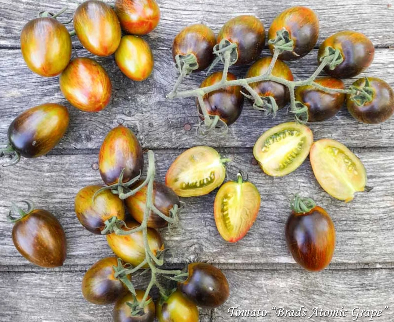 Tomato Brads Atomic Grape, Атомный виноград от Брэда